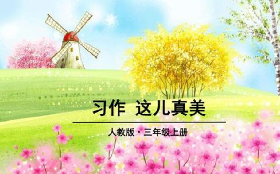 这儿真美作文300字三年级