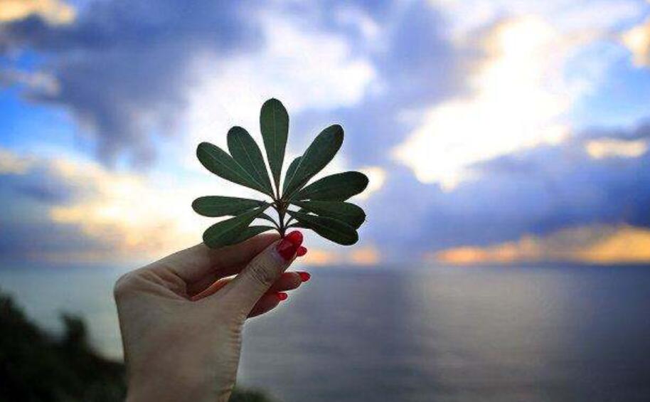 生活的滋味作文800字