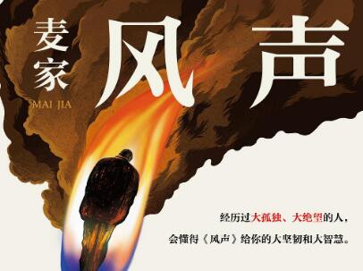 《风声》读后感600字