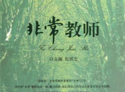 《非常教师》读后感500字