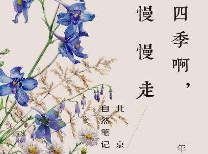 《四季啊，慢慢走》读后感1500字