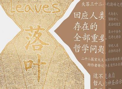 《落叶》读后感1000字