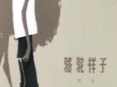 《骆驼祥子》读后感1000字