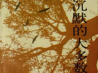 《沉默的大多数》读后感1000字