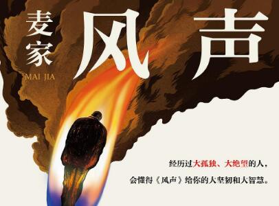 《风声》读后感600字