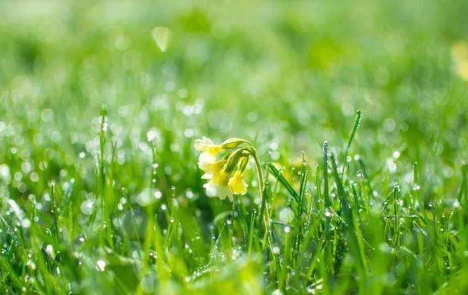 发现春天.jpg 发现春天.jpg