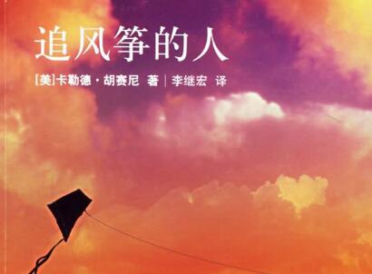 《追风筝的人》读后感300字