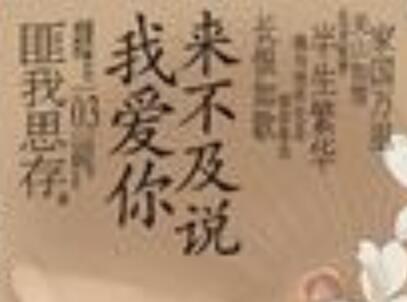 《来不及说我爱你》读后感300字