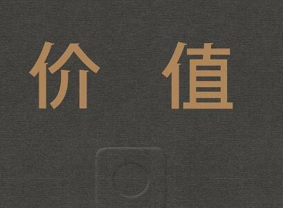 《价值》读后感600字