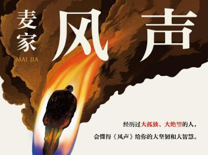 《风声》读后感600字