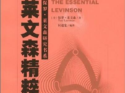 《莱文森精粹》读后感800字