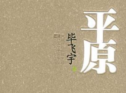 《平原》读后感1000字