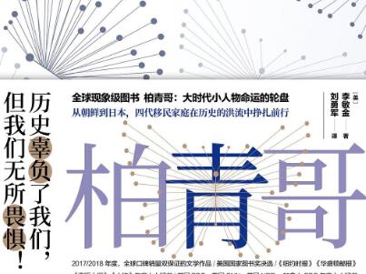 《柏青哥》读后感500字