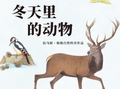 《冬天里的动物》读后感1000字