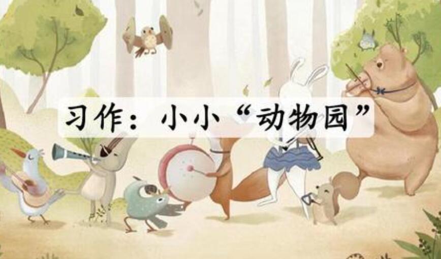 小小动物园.jpg