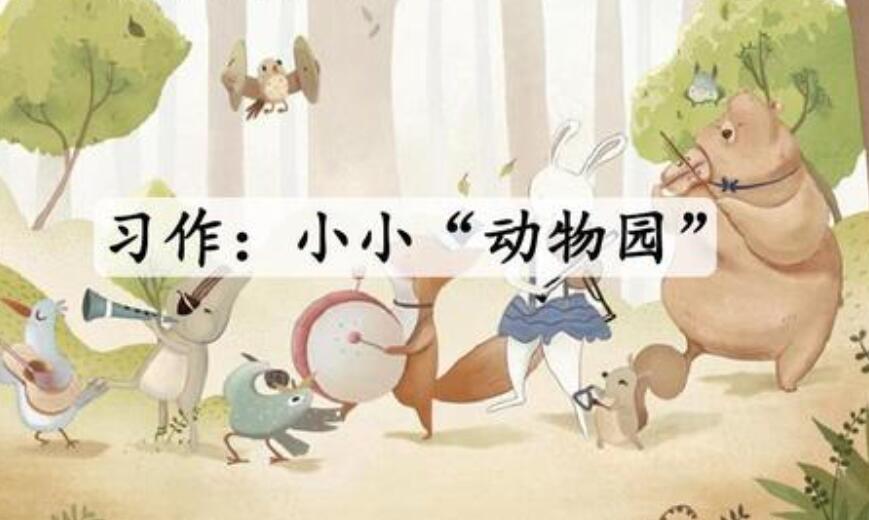 小小动物园.jpg