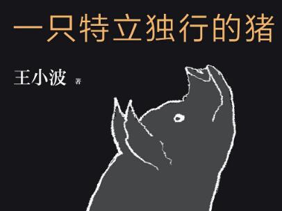 《一只特立独行的猪》.jpg