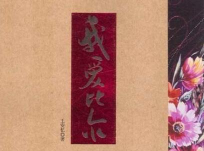 《我爱比尔》读后感500字