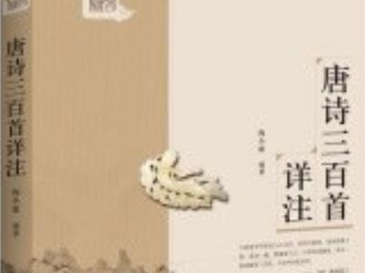 《唐诗三百首详注》读后感400字