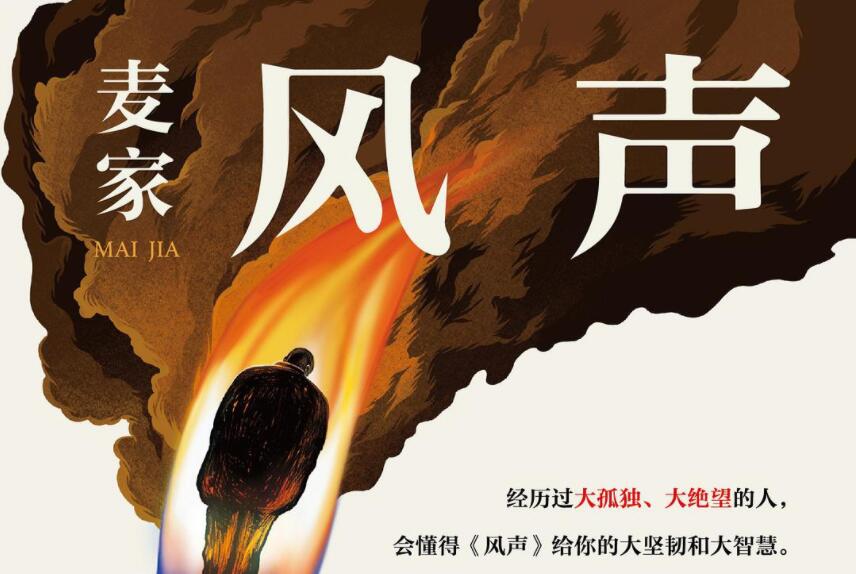 《风声》读后感1000字