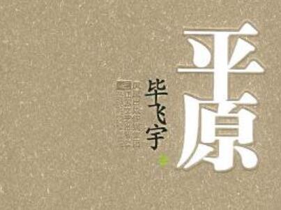 《平原》读后感1500字