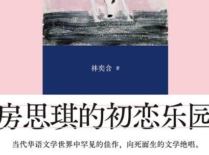 《房思琪的初恋乐园》读后感500字