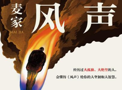 《风声》读后感600字