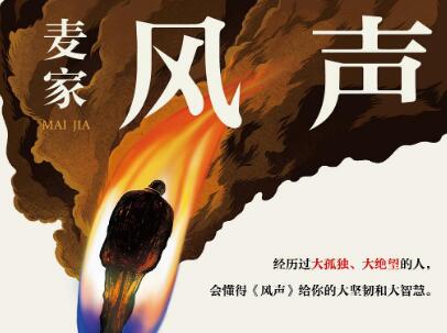 《风声》读后感500字