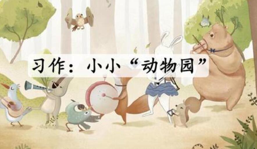 小小动物园.jpg