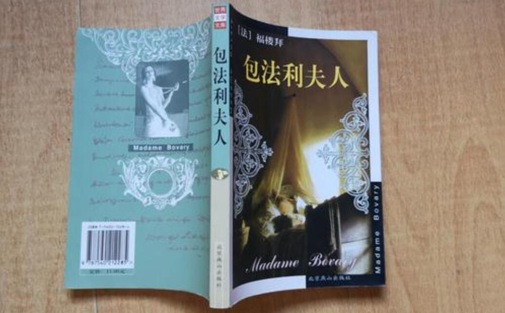 《包法利夫人》书籍.jpg