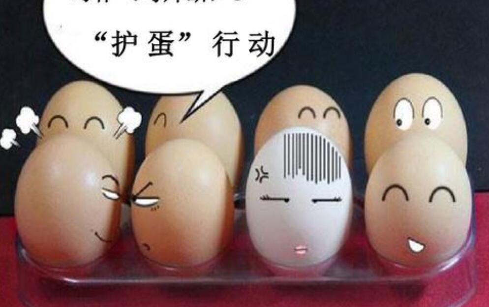 护蛋的故事.jpg
