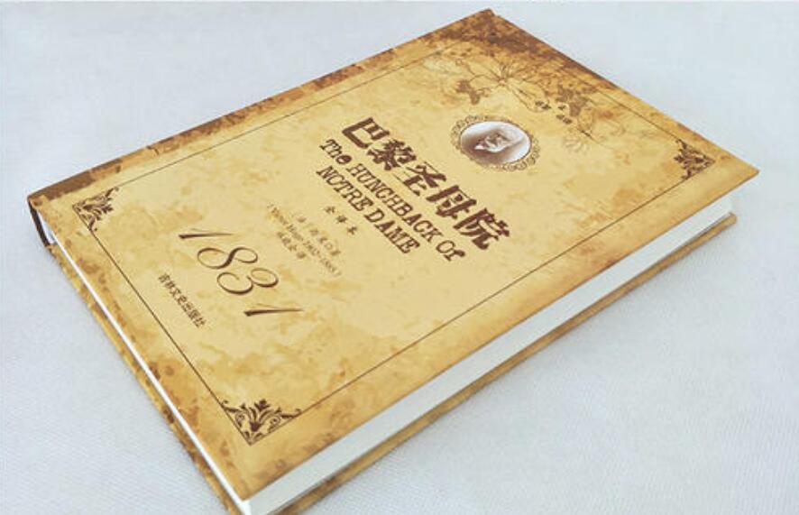 《巴黎圣母院》书籍.jpg