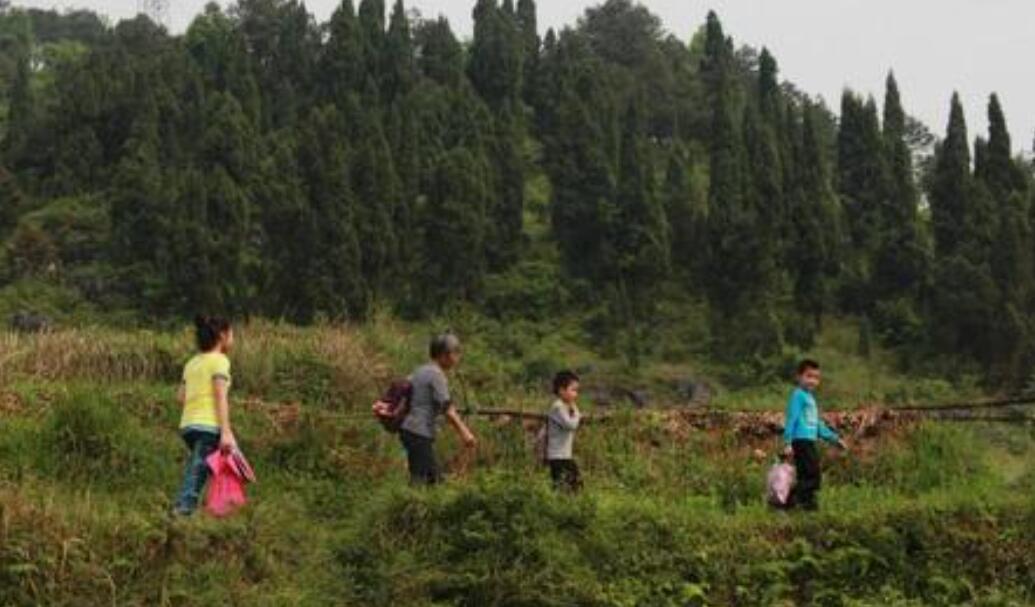 特别的周末 回家乡.jpg