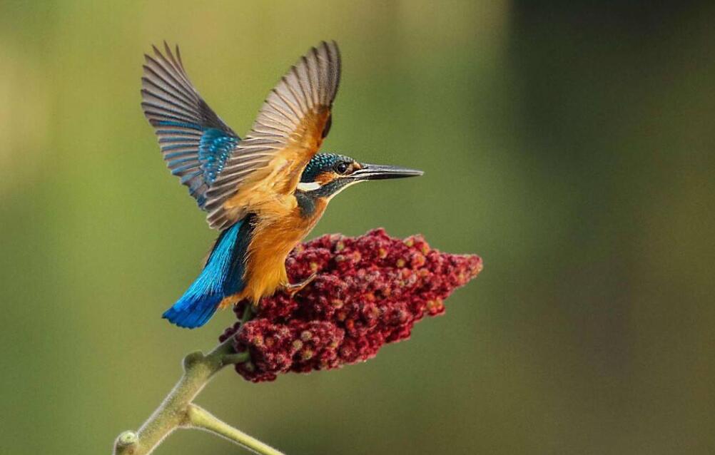 我眼中的缤纷世界作文350字三年级