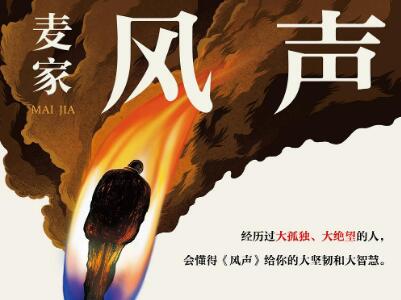 《风声》读后感600字