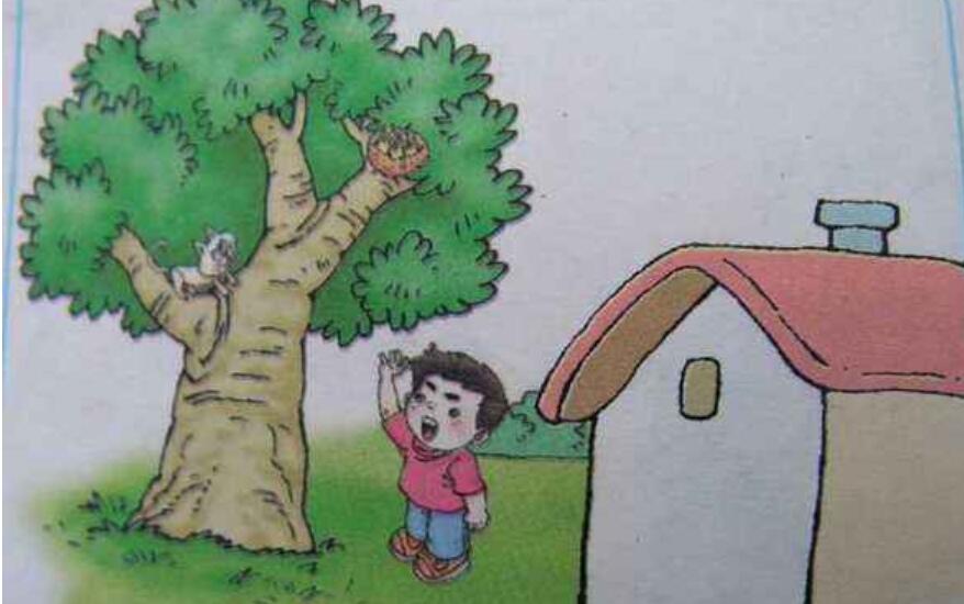 小熊和小鸟看图写话.jpg 小熊和小鸟看图写话.jpg