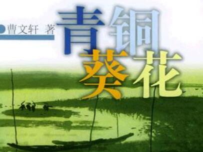 《青铜葵花》读后感500字