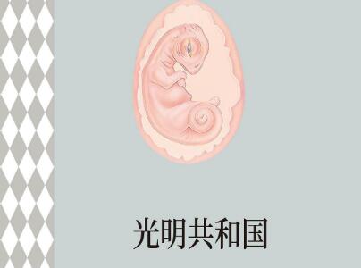 《光明共和国》.jpg 《光明共和国》.jpg