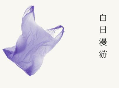 《白日漫游》读后感300字