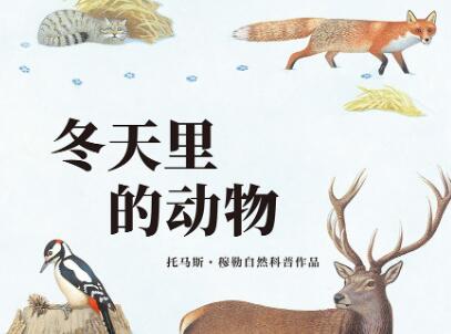 《冬天里的动物》读后感500字