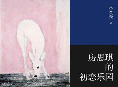 《房思琪的初恋乐园》读后感300字