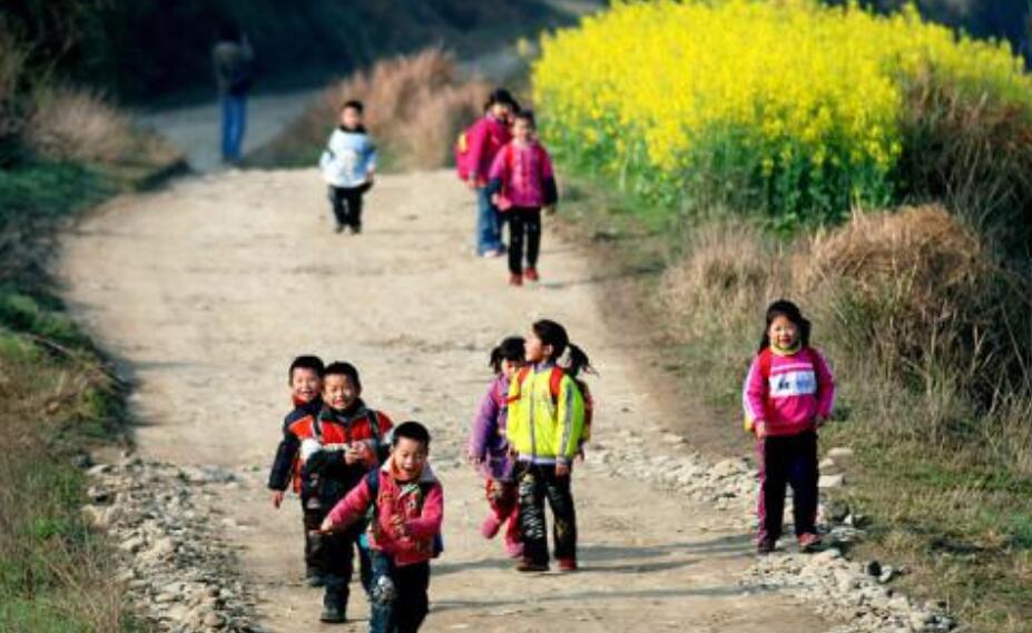 放学路上的风景.jpg 放学路上的风景.jpg