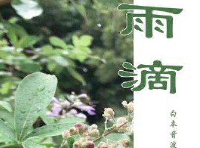 《雨滴》.jpg 《雨滴》.jpg