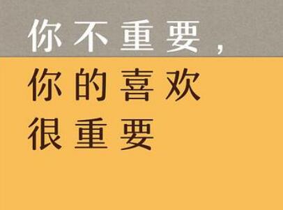 《你不重要,你的喜欢很重要》.jpg 《你不重要,你的喜欢很重要》.jpg
