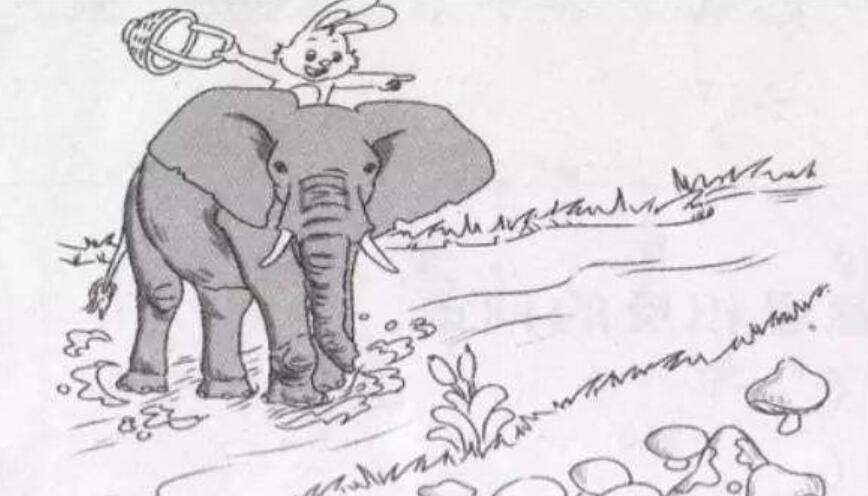 大象背小白兔过河看图写话.jpg 大象背小白兔过河看图写话.jpg