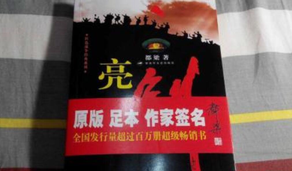 亮剑读后感600字