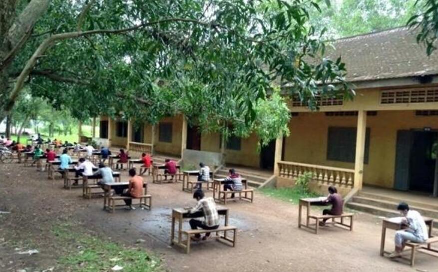 森林里的考试.jpg 森林里的考试.jpg