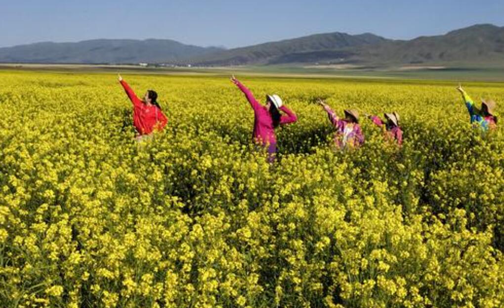 目光所及都是美作文700字