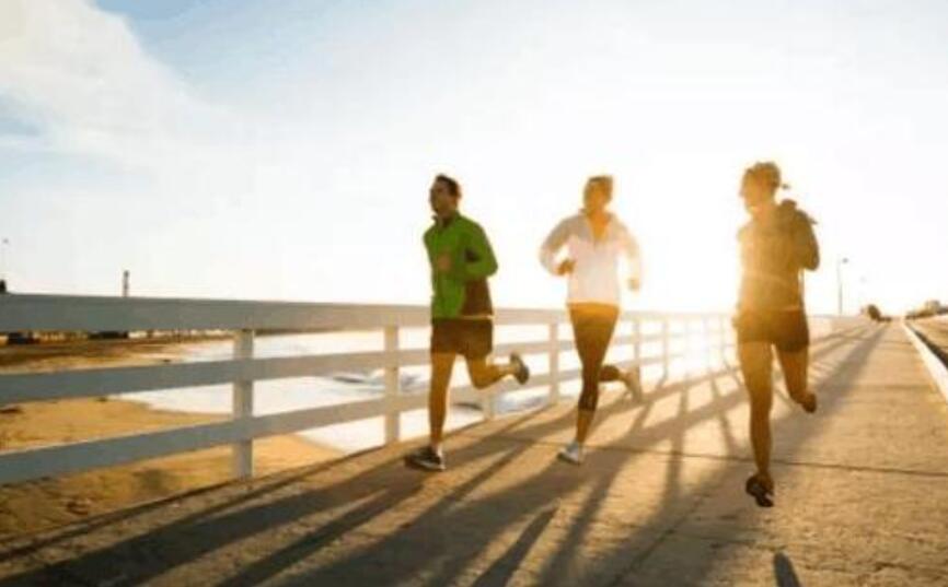 晨跑作文700字初中