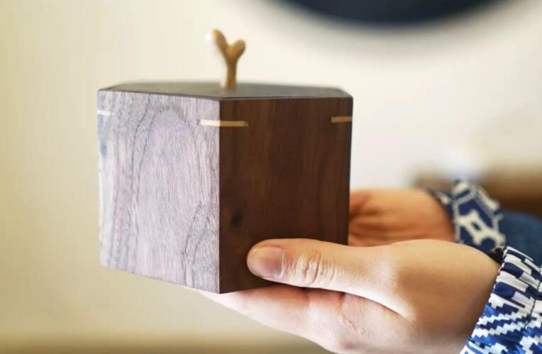 记忆匣子作文600字